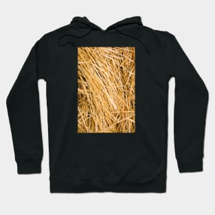 Dried yellow grass texture in a paddock Hoodie